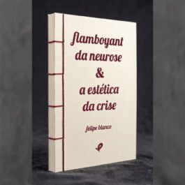 flamboyant da neurose & a estética da crise
