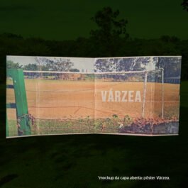 Várzea
