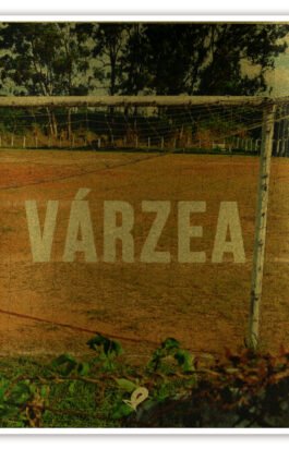 Várzea
